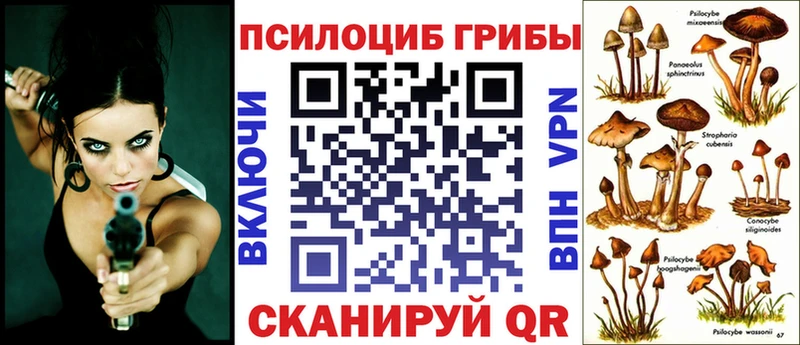 OMG зеркало  Дубовка  Псилоцибиновые грибы Psilocybe 